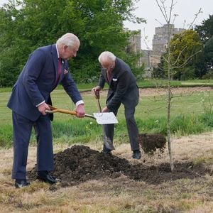 König Charles III. und König Carl Gustaf pflanzen eine Eiche