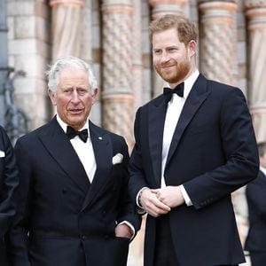 Das wünscht sich König Charles für Beziehung mit Prinz Harry
