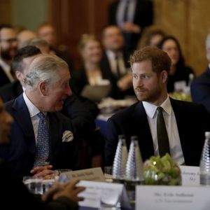 Übernimmt Prinz Harry bald Pflichten seines Vaters Charles?