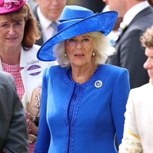 Königin Camillas Stylistin verbot Royals, Blau zu tragen!