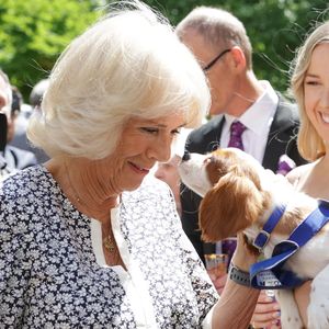 Neues Palastmitglied: Charles und Camilla adoptieren Welpen