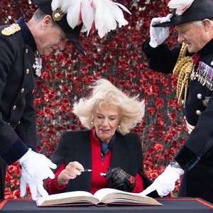 Königin Camilla sorgt mit wirrer Sturmfrisur für Lacher
