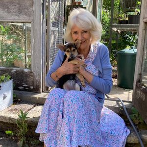 "Maulwurfi": Königin Camilla hat einen neuen Vierbeiner