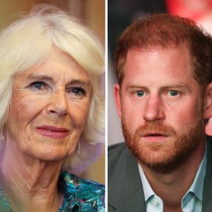 Besuch bei Charles: Camilla soll Prinz Harry verurteilen