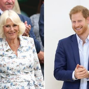 Camilla soll Harry seine Aussagen in "Spare" nie verzeihen