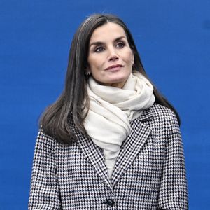 Königin Letizia begeistert in Anthrazit bei royalem Termin