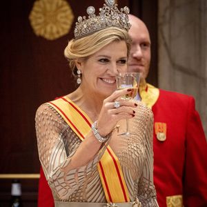Königin Máxima glänzt im futuristischen Metallic-Look