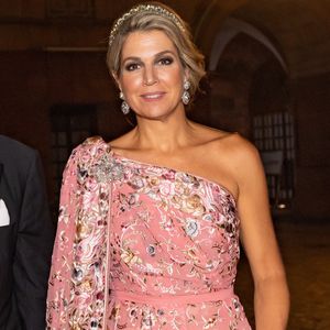 In Indien: Königin Máxima begeistert in rosafarbener Robe!