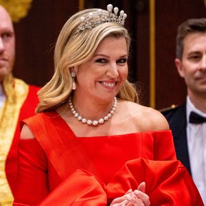 Eleganter Farbtupfer! Königin Máxima strahlt in rotem Kleid