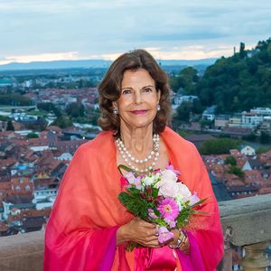 Zum 76. Geburtstag: Königin Silvia posiert in Heidelberg!