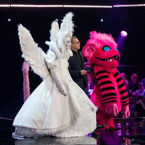 "The Masked Singer": Diese Promis liegen im Rate-Voting vorn