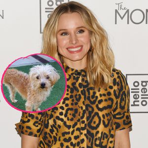 Dreibeiniger Familienzuwachs: Kristen Bell adoptiert Hund