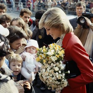 Mit William schwanger: Diana stürzte sich Treppe herunter!