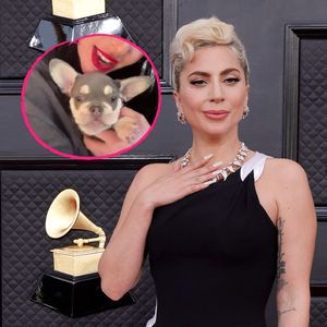 Neues Familienmitglied: Lady Gaga präsentiert süßen Zuwachs