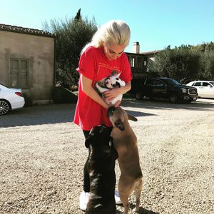 Freudentränen: Lady Gaga hat Hunde nach Entführung zurück