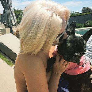Nach Festnahme: Lady Gagas Hundeentführer wurden angeklagt