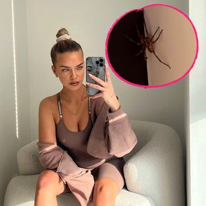 Schock! Laura Maria Rypa hatte Nosferatu-Spinne im Haus
