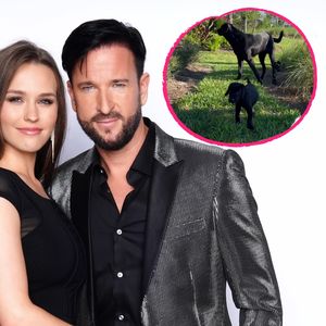 Laura und der Wendler haben sich noch einen Hund geholt!