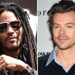 Erste Reihe: Lenny Kravitz bei Harry Styles' Show gesichtet
