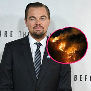 Waldbrände im Amazonas: Leo DiCaprio spendet fünf Millionen