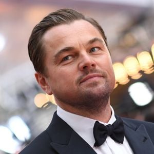 Leonardo DiCaprio investiert diese Megasumme in Umweltschutz