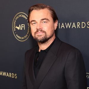 Leo DiCaprio wurde von einer Qualle in den Hintern gestochen