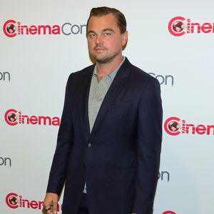 Fast ertrunken: Ein Fan schwamm zu Leonardo DiCaprios Jacht!