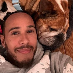 Lewis Hamiltons geliebte Bulldogge Roscoe ist verstorben