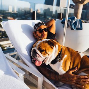 Formel-1-Star Lewis Hamilton trauert um seine Hündin Coco