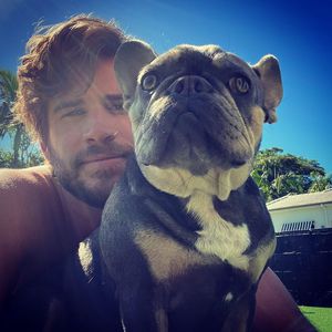 Liam Hemsworth macht Fans mit seinem "Nasenring" verrückt