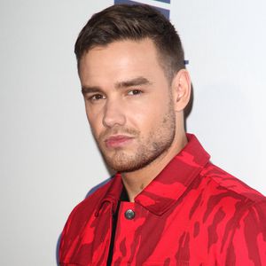 Mit diesem Kumpel verbrachte Liam Payne die letzten Stunden