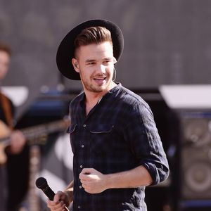 Neue Gartendeko: 1D-Liam Payne kauft "Harry Potter"-Auto