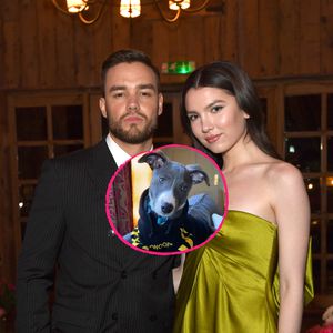 Süß: Liam Payne schenkte seiner Verlobten Maya einen Hund