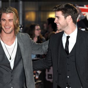 Die Hemsworths: Rauferei im australischen Busch