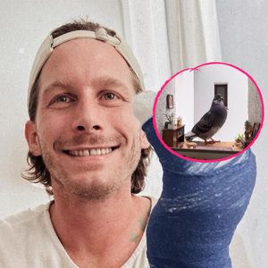Malte Zierden trauert: Sein Tauben-Freund Oßkar ist tot