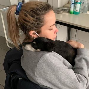 Nach Geburt der Tochter: Marina Hoermanseders Hund gestorben