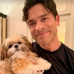 Kelly Ripa und Mark Consuelos begrüßen neuen Welpen Javi