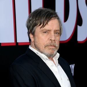 Glück gehabt: Mark Hamills Haus überlebt Waldbrände in L.A.