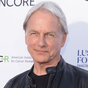 Mark Harmon, Schauspieler