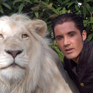 Aus dem Circus Krone: Der Star-Löwe King Tonga ist gestorben