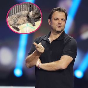 Martin Rütter outet sich als heimlicher Katzenliebhaber