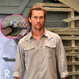 Matthew McConaughey beinah an Schlangen-Biss gestorben