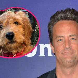 Vor Heirat: Matthew Perry bekommt tierischen Familienzuwachs