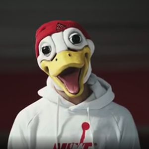 Promis sticheln gegen Matthias Höhns neues Enten-Image!