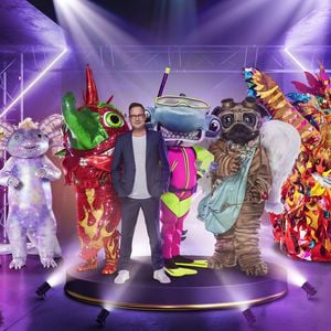 Vor Show drei: Wer ist euer "The Masked Singer"-Liebling?