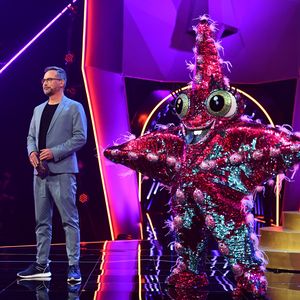Halbzeit bei "The Masked Singer": Wer ist euer Favorit?