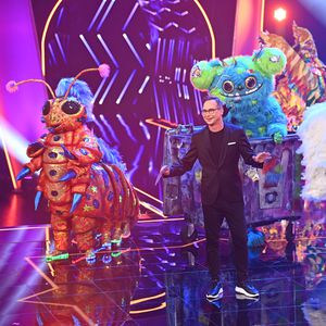"Nie so geschwitzt": So anstrengend ist "The Masked Singer"