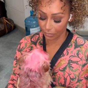 Ihr Hund hat pinkes Fell: Mel B. kassiert heftigen Shitstorm