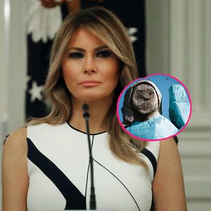 Nach einem Jahr: Holzstatue von Melania Trump abgefackelt!