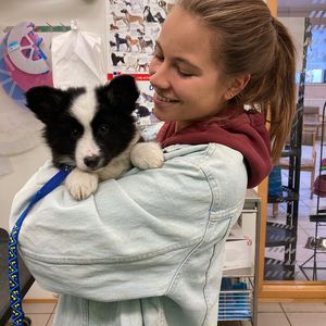 YouTube-Star Melina Sophie ist jetzt zweifache Hunde-Mama!